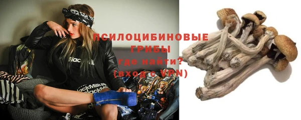ПСИЛОЦИБИНОВЫЕ ГРИБЫ Балабаново