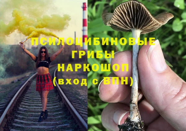 ПСИЛОЦИБИНОВЫЕ ГРИБЫ Балабаново