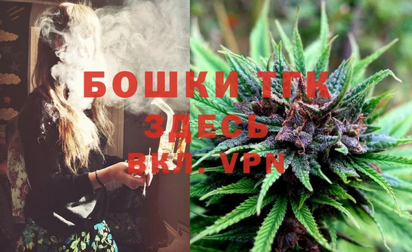 ПСИЛОЦИБИНОВЫЕ ГРИБЫ Балабаново