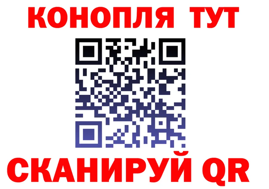 Альфа ПВП СК вход площадка hydra Сковородино